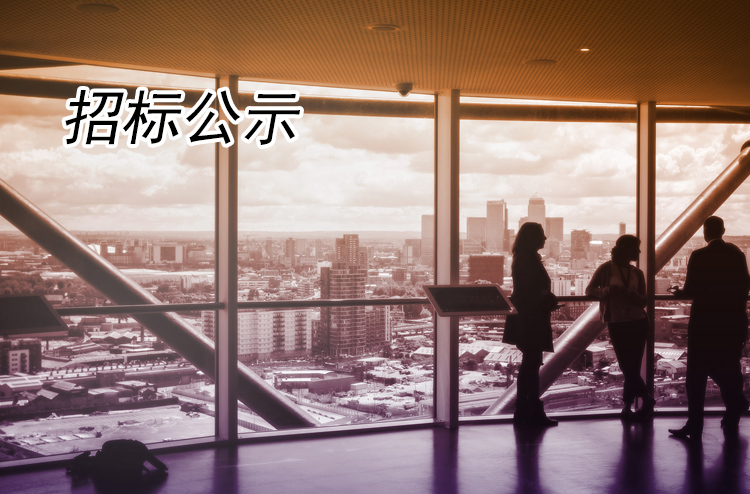 揚州瘦西湖宸臨大觀酒店申請建筑能效提升示范技術服務采購項目成交結果公告